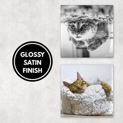 Custom Pet Photo Coasters