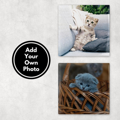 Custom Pet Photo Coasters