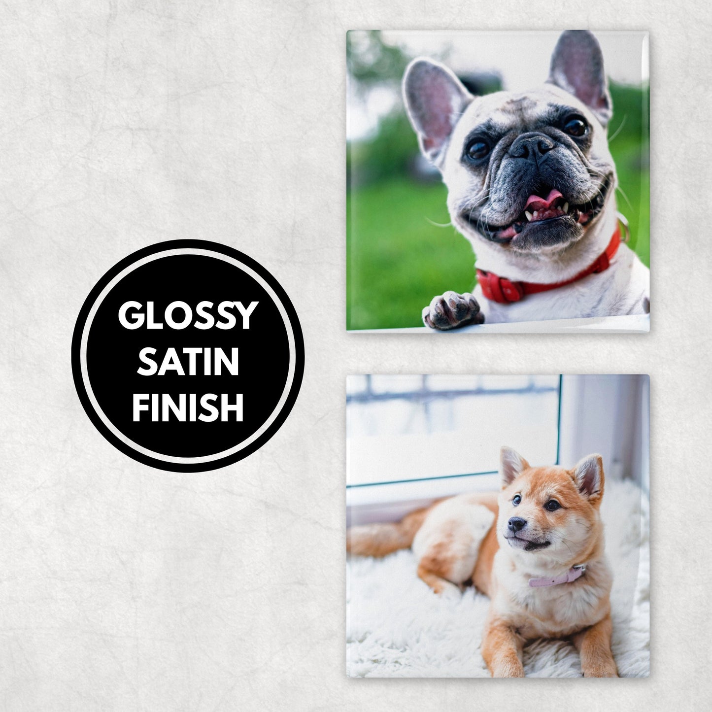 Custom Pet Photo Coasters