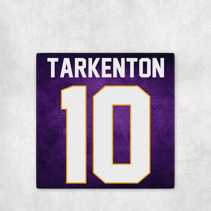 Personalized Minnesota Vikings Inspired Coasters
