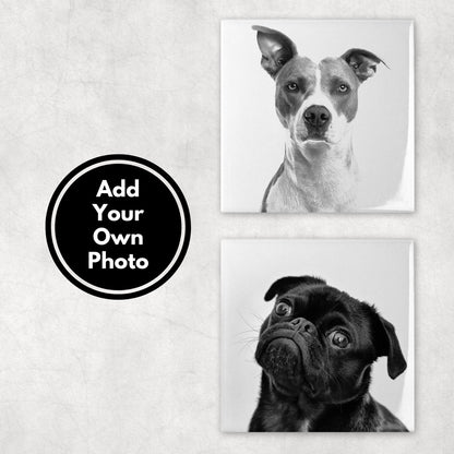 Custom Pet Photo Coasters