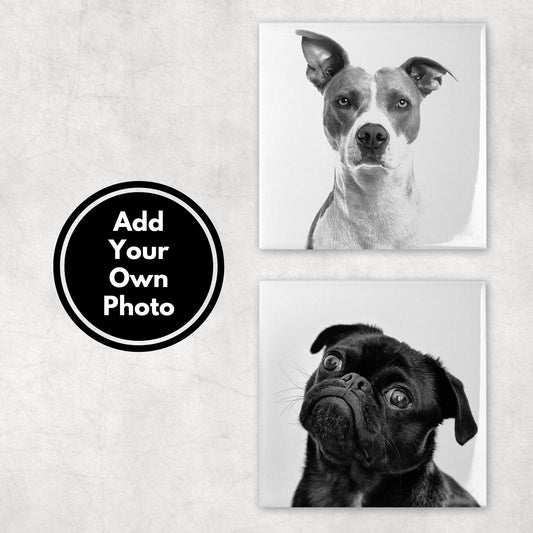 Custom Pet Photo Coasters