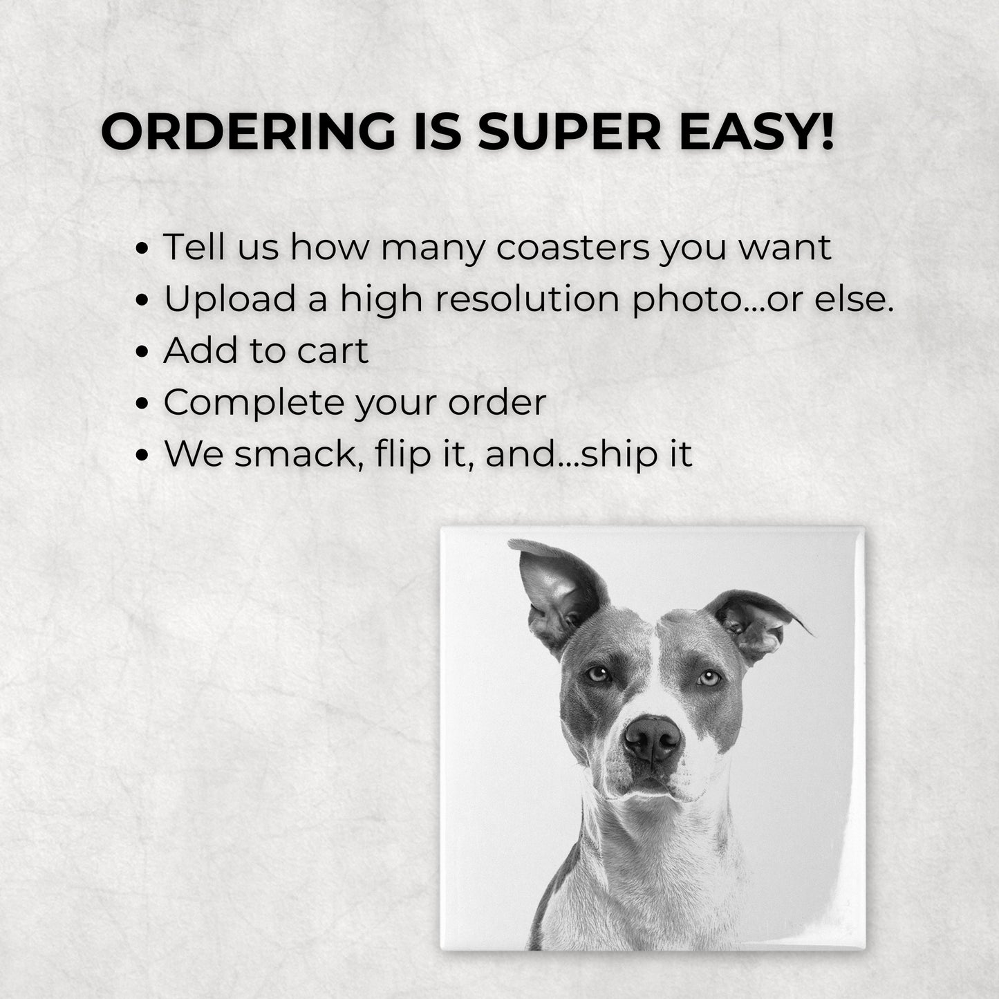 Custom Pet Photo Coasters