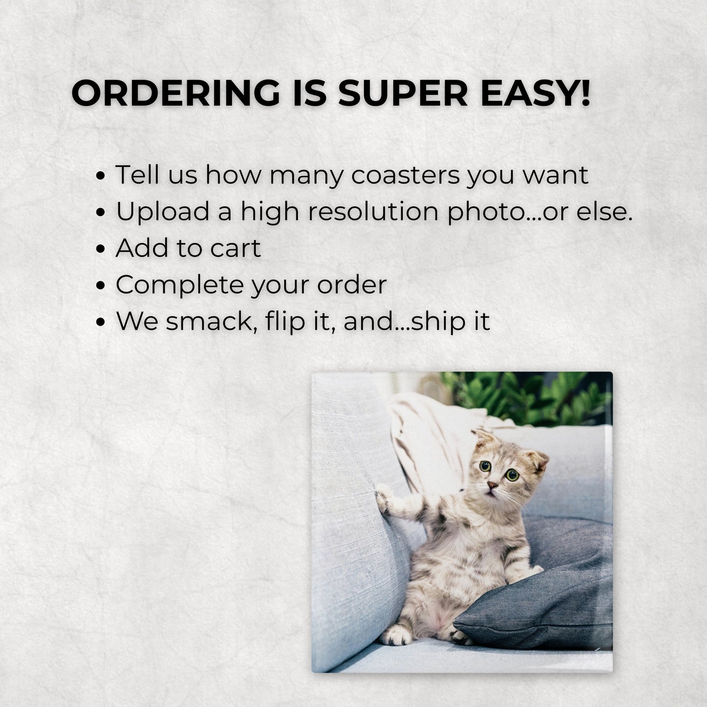 Custom Pet Photo Coasters