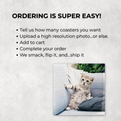 Custom Pet Photo Coasters