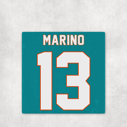 Personalized Miami Dolphins Inspired Coasters