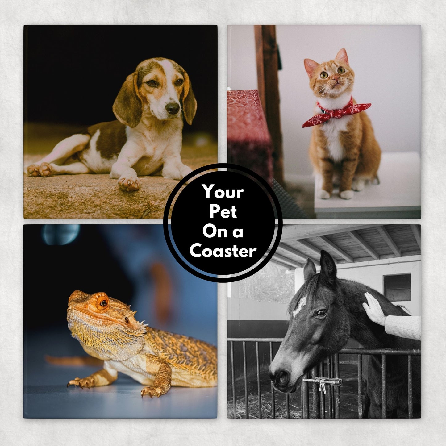 Personalized Pet Photo Coasters